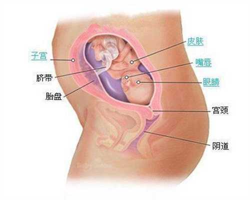 深圳代孕医院的费用_孕妇如何正确散步 时间与时长应科学