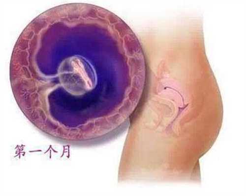 深圳合法代孕费用大概多少_备孕常识：男性什么时候精子质量高
