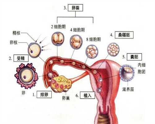 深圳代孕公司怎么找_不怀孕的早期症状有什么 严不严重