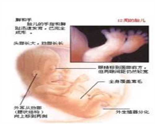 深圳代生儿子机构_孕妇脉搏数正常范围是多少