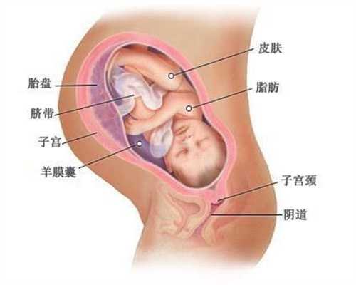 深圳代孕2年内抱孩子_双胞胎的宝宝是不是坐得晚一些