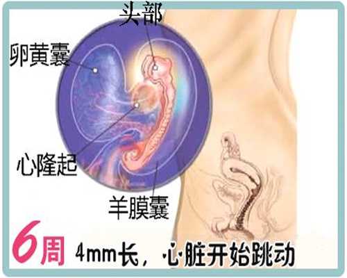 深圳2020年代孕孩子价格_产后2个多月身体虚可以吃当归吗