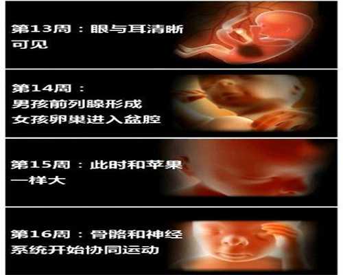 深圳代孕怎么怀孕_子宫纵隔切除术的方法有哪些