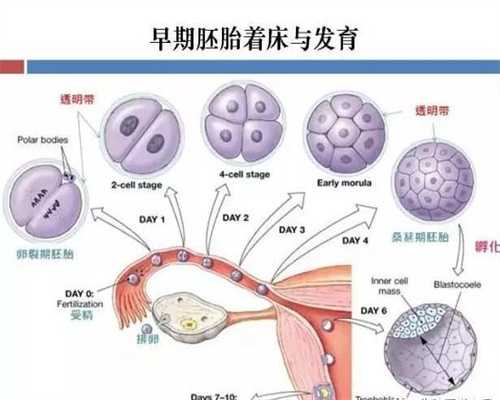 深圳代孕中心，深圳有一种代孕药，深圳代生一个孩子要多少钱啊