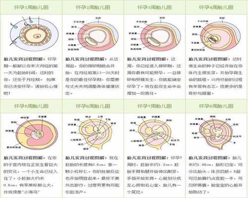 深圳代孕婴儿，中国深圳代孕机构，靠谱深圳代孕一个小孩多少钱