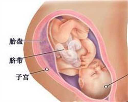 深圳代孕在线咨询_代孕孩子费用_代孕双胞胎保密咨询