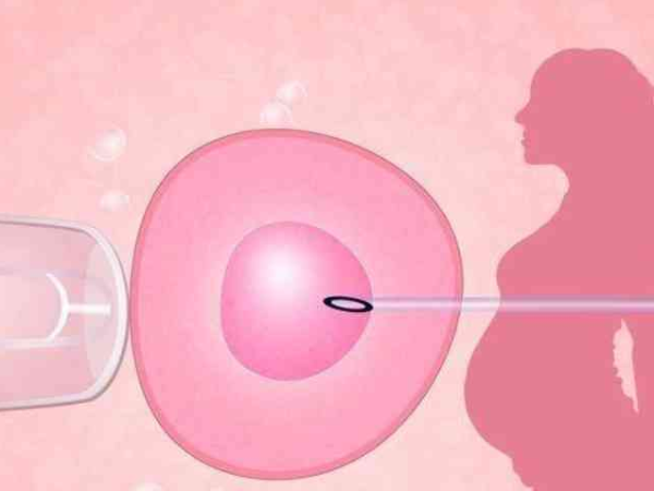 一级的优质胚胎最容易存活，为什么会养囊不成功？